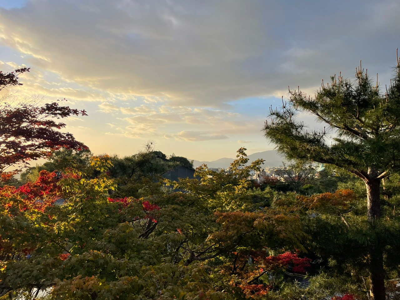 Zen.nl, Zen, meditatie, leren mediteren, Brian Victoria, Kyoto, Japan, zentuin, studiereis, tempel